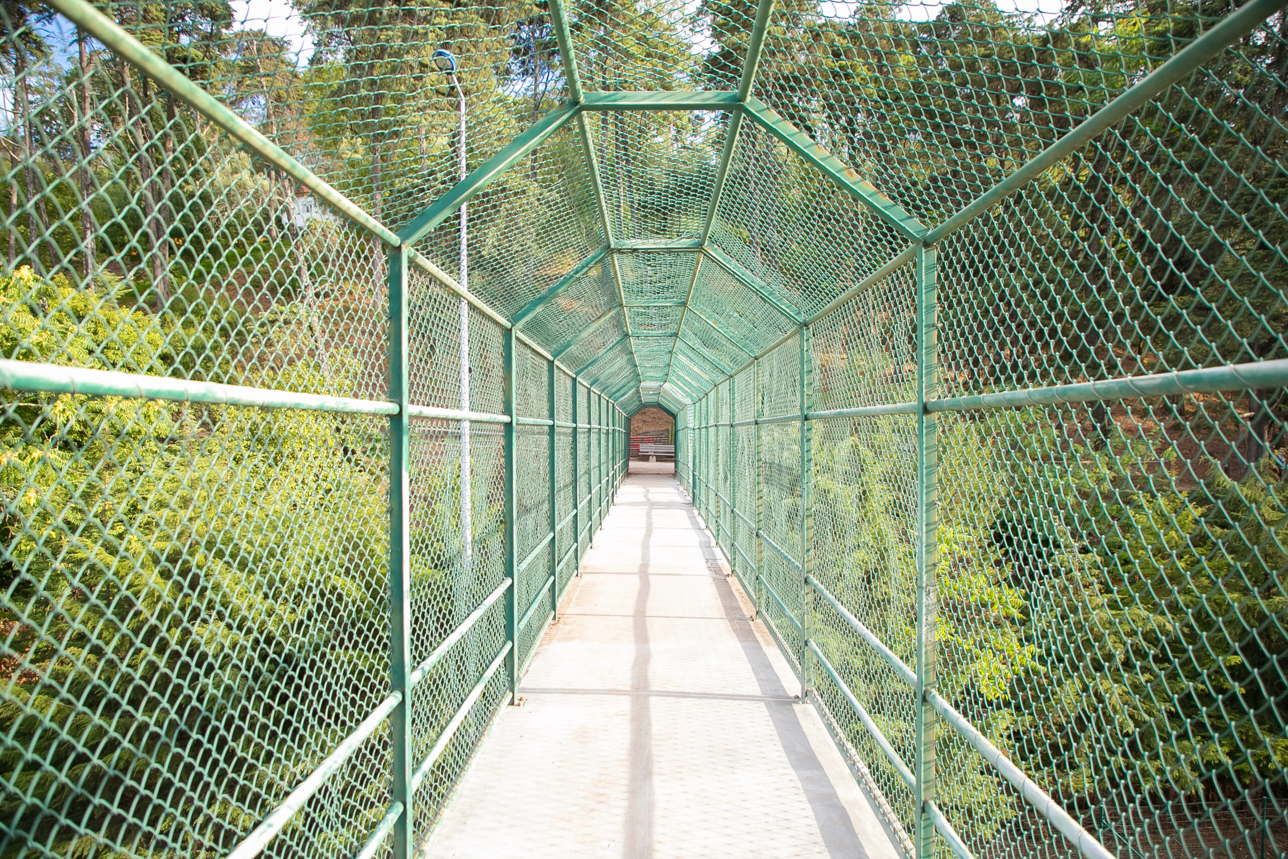 Play Without Limits: Terrace Cricket Nets for Home Practice