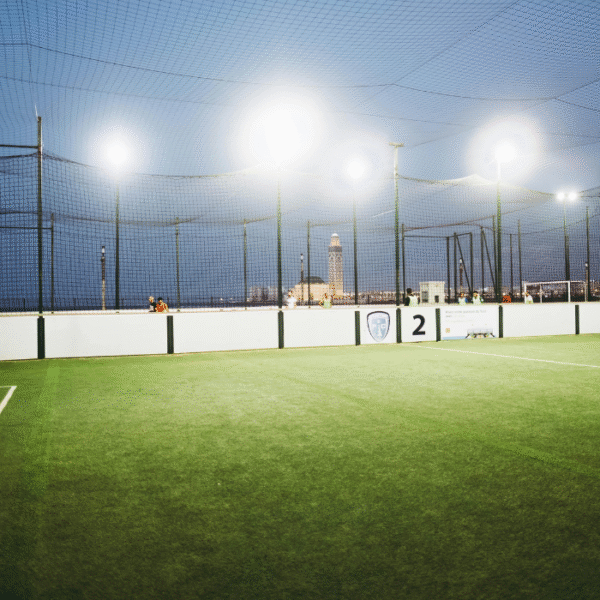 Cricket Practice Nets - Image 4