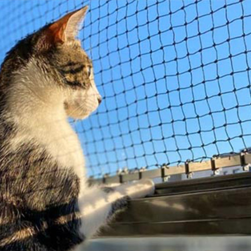 Secure Your Space with Premium Balcony Safety Nets
