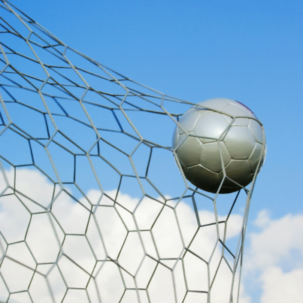 Sports Ball Stop Nets