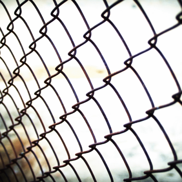 Anti Seagull Nets - Image 4
