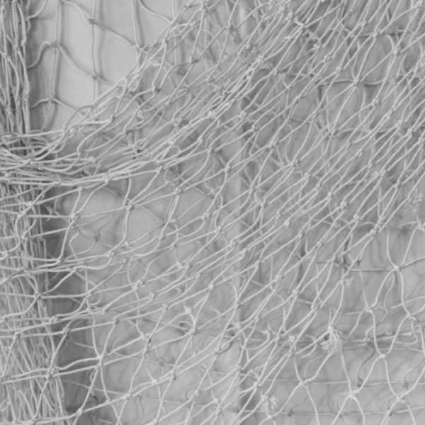 Anti Seagull Nets