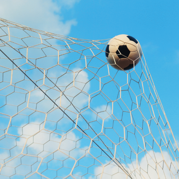 Sports Ball Stop Nets - Image 4