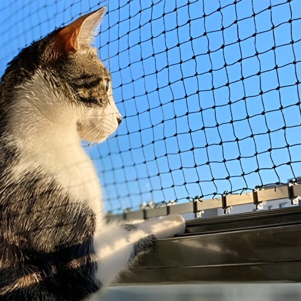 Pets Safety Nets - Image 4