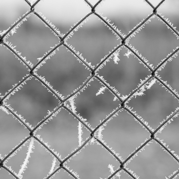 Bird Protection Nets - Image 3