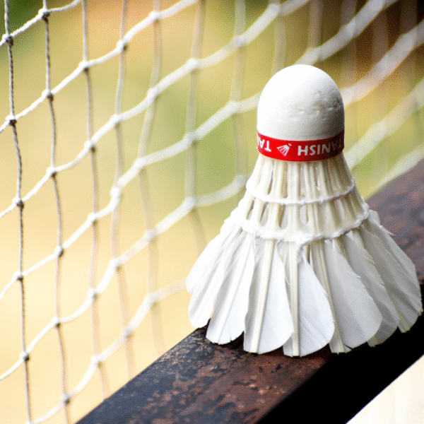 All Sports Nets - Image 4