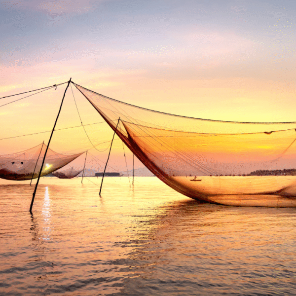HDPE Nets , Nylon Nets - Image 3
