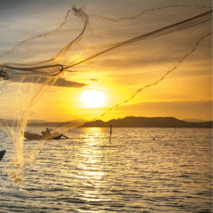 HDPE Nets , Nylon Nets