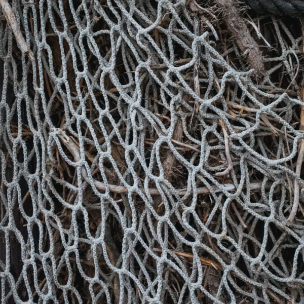 HDPE Nets , Nylon Nets - Image 2