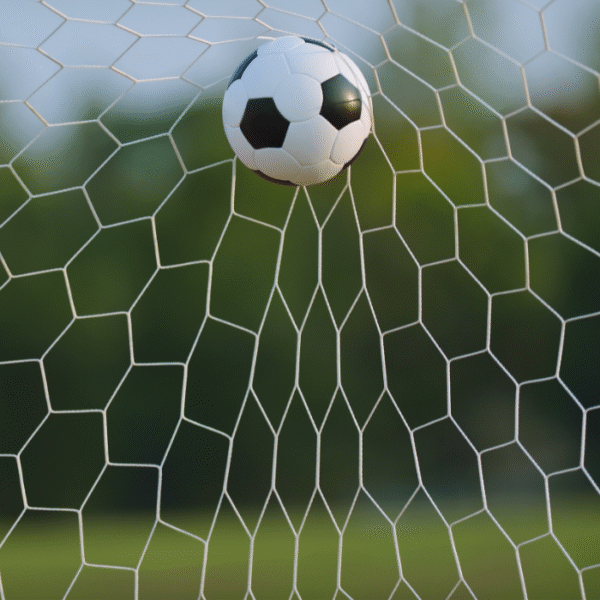 All Sports Nets