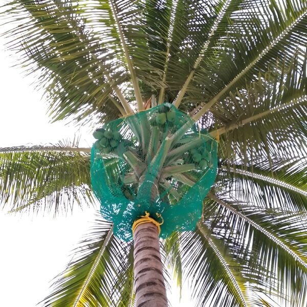 Coconut Tree Safety Nets - Image 2