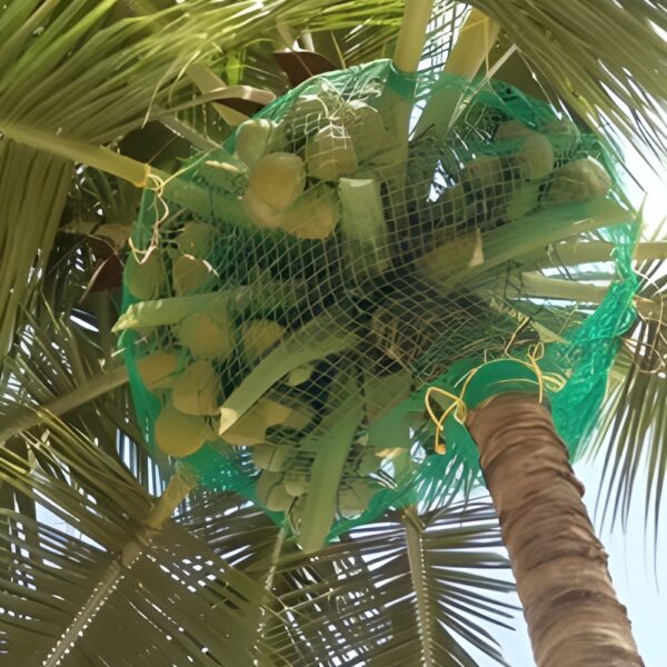 Coconut Tree Safety Nets - Image 3