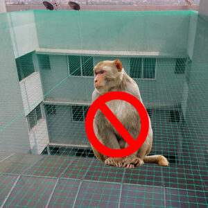 Monkey Safety Nets