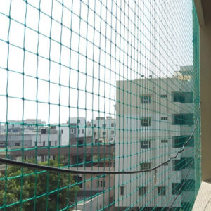 Pigeon Nets Installation